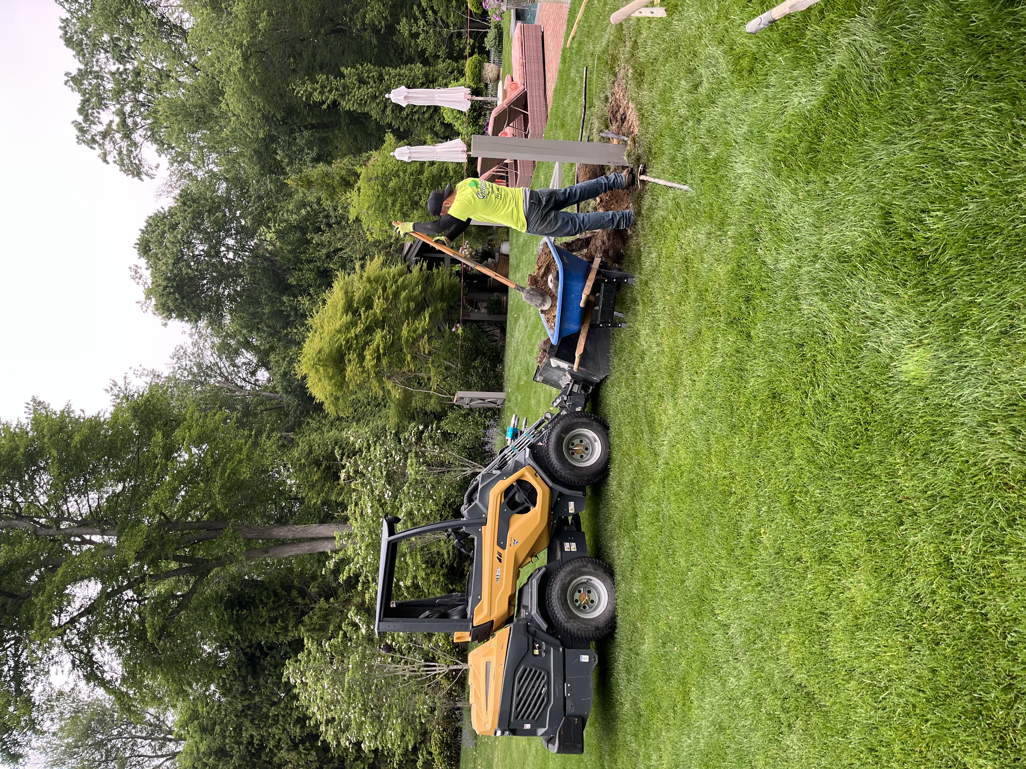 Tree Services Near You